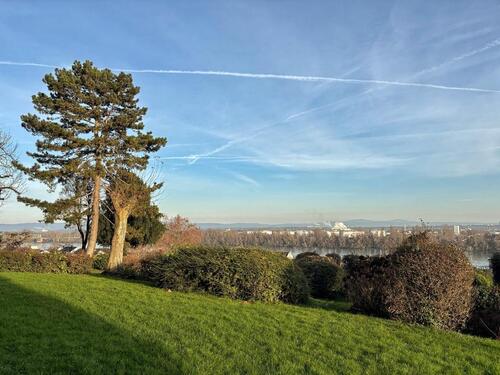 Foto - 3 Zimmer Etagenwohnung zum Kaufen in Mainz