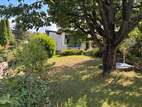 Foto - Pachtgarten abzugeben - 800,00 EUR Kaltmiete, ca.  0,00 m²
