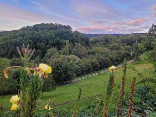 Foto - Einfamilienhaus zur Miete in Aspach