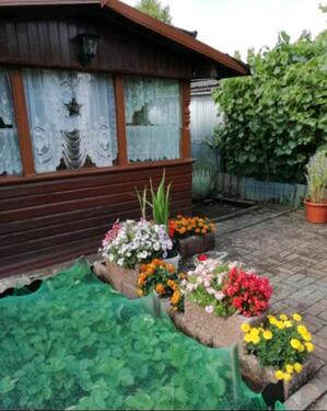 Foto - Gut gepflegter Srebergarten im Raum Fulda 100 qm