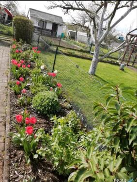 Foto - Grundstück in Fulda zur Miete