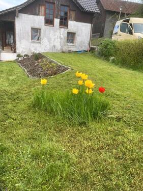 Foto - Einfamilienhaus in Cham