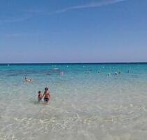 Apartment für 2 Pers. Cala Millor 1. Linie - Dasing