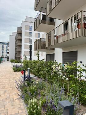 Foto - Neue 2 Zi Wohnung- 4OG mit Balkon- Friedrichshain Alexanderplatz