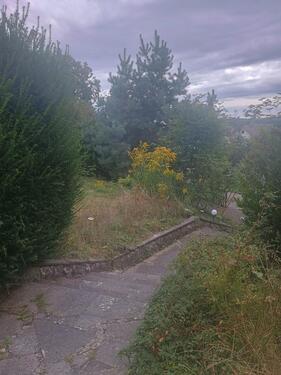 Foto - Etagenwohnung in Ertingen zur Miete