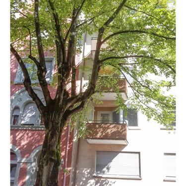 Foto - Kurzfristig frei - befristet frei helle Ferienwohnung im Paradies