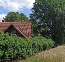 Gut erhaltener Resthof 2 ha, von privat, Pferdehaltung - Wagenfeld
