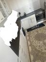 Foto - Etagenwohnung zur Miete in Neubrandenburg