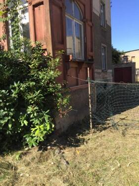 Foto - Etagenwohnung in Zittau zum Kaufen