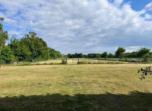Foto - Einfamilienhaus zum Kaufen in Hörstel