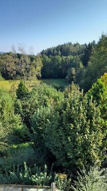 Foto - Einfamilienhaus in Marktredwitz