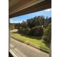 Sonnige 4,5 Zimmer Wohnung mit Terasse und Garage - Lauterbach