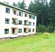 Renovierte 4 Zimmer-Wohnung mit 2 Balkone in Clausthal-Zellerfeld
