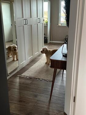 Foto - Etagenwohnung in Sandersdorf-Brehna zur Miete