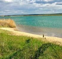 Ferienhaus Ferienwohnung Badesee nähe Leipzig Privatstrand Sauna - Delitzsch
