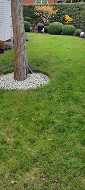 Foto - 4 Zimmer Etagenwohnung zur Miete in Lünen