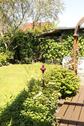 Foto - Einfamilienhaus zum Kaufen in Wiesmoor