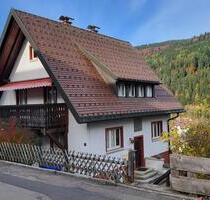 Helle, frisch sanierte 3-Zimmer-Wohnung mit Balkon in zentraler L - St. Blasien
