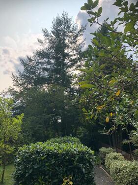 Foto - Etagenwohnung in Schönebeck (Elbe)