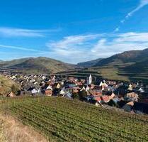 1 Zimmer Apartment - 450,00&nbsp;EUR Kaltmiete, ca.&nbsp; 17,00&nbsp;m&sup2; in Vogtsburg im Kaiserstuhl (PLZ: 79235)