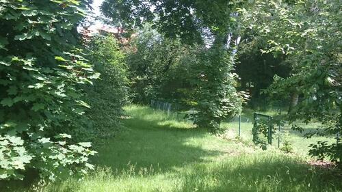 Foto - Gepflegtes Britenhaus mit Garten in Münster-Gremmendorf