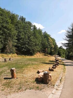 Foto - andere in Elmstein