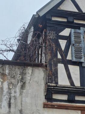 Foto - Bauernhaus, Landhaus zum Kaufen in Freimersheim (Pfalz)