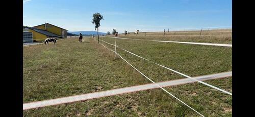 Foto - Reitanlage mit Wohnung - wo andere Urlaub machen