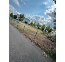 Stellplätze zu vermieten - 70,00 EUR Miete, in Emmendingen (PLZ: 79312)