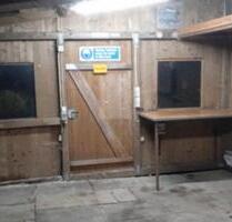 Werkstatt-Schuppen Halle zum schrauben und unterstellen - Rastede