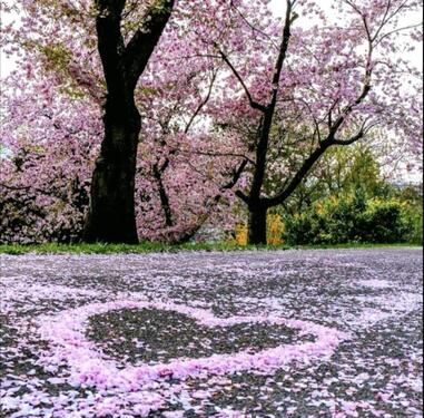 Foto - Residieren in der Bel-Etage: Villenglanz trifft moderne