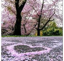 Residieren in der Bel-Etage: Villenglanz trifft moderne - Herford