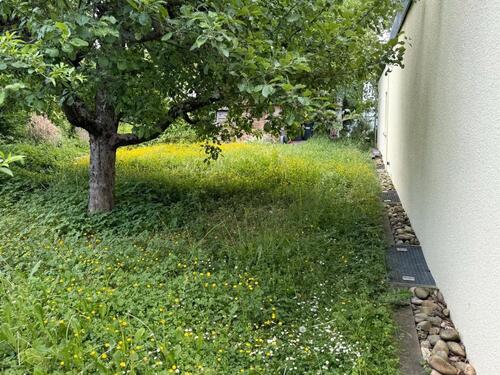 Foto - Einfamilienhaus in Kirchheim unter Teck zum Kaufen
