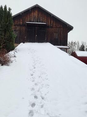 Foto - andere zur Miete in Penzberg
