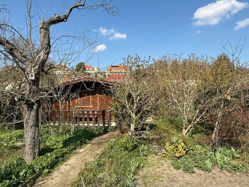 Foto - Pachtgrundstück Kleingarten Nr. 69 in Dresden-Trachau