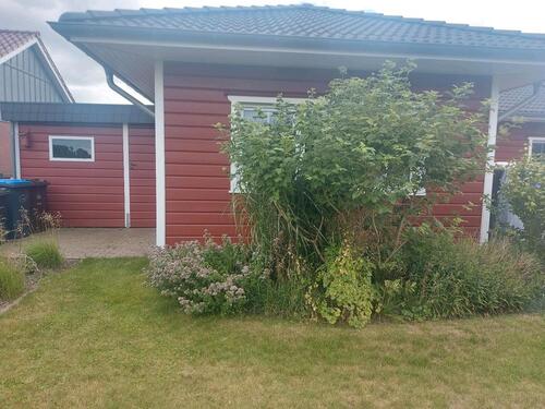 Foto - 3 Zimmer Einfamilienhaus in Jevenstedt