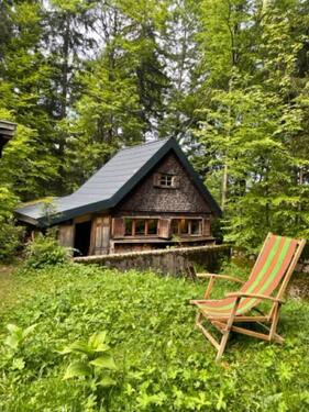 Foto - Berghütte auf Waldlichtung von privat zu vermieten 8.9 - 12.9.