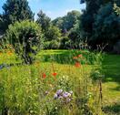 Foto - andere in Bochum