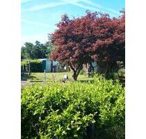 Kleingarten in 02977 Hoyerswerda Altstadt Tausend -Mann -Lager