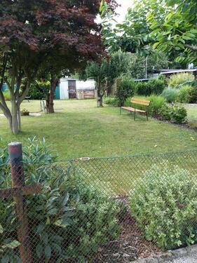 Foto - Grundst&uuml;ck zur Miete in Hoyerswerda