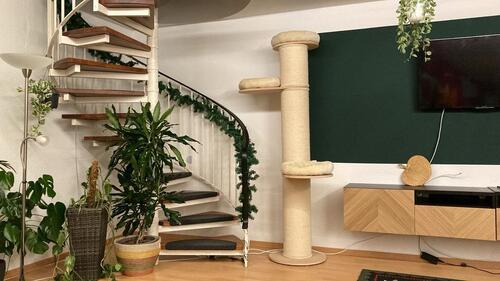 Foto - Traumwohnung 2 Zimmer Maisonette