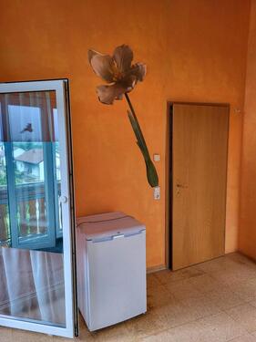 Foto - WG-zimmer, EhingenDintenhofen - 452,00&nbsp;EUR Kaltmiete, ca.&nbsp; 30,00&nbsp;m&sup2;