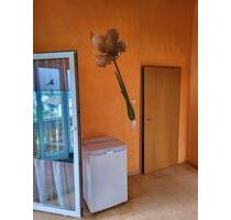 WG-zimmer, EhingenDintenhofen - 452,00&nbsp;EUR Kaltmiete, ca.&nbsp; 30,00&nbsp;m&sup2; in Ehingen (Donau) (PLZ: 89584)