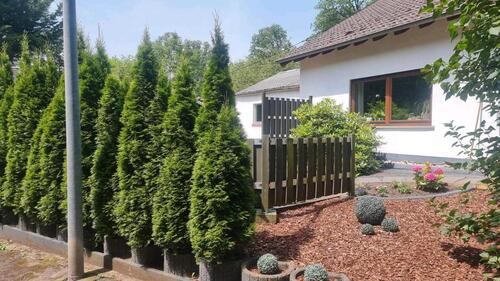 Foto - Einfamilienhaus in Schiffweiler zum Kaufen