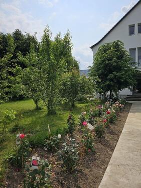 Foto - Wohnung zu vermieten - 800,00 EUR Kaltmiete, ca.  85,00 m²