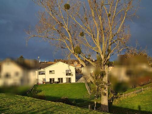 Foto - Einfamilienhaus in Rheinbach