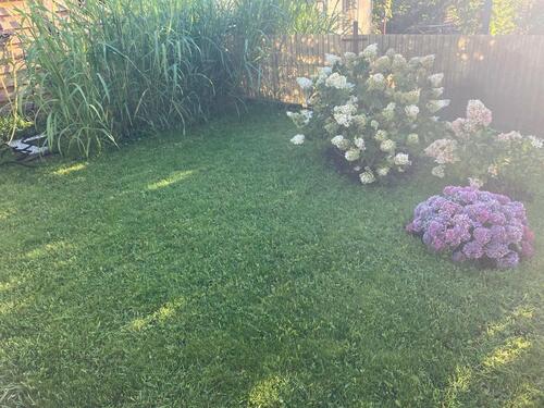 Foto - Grundstück in Leipzig