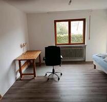 Vermiete 4 Zimmer WHG mit Balkon und Garten - Gundelsheim