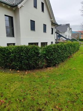 Foto - 3 Zimmer Etagenwohnung zur Miete in Lotte