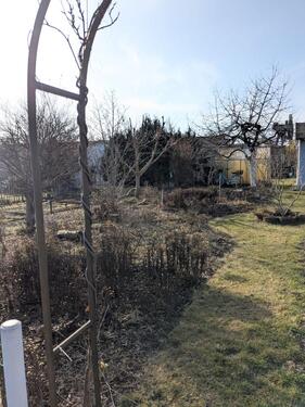 Foto - Grundst&uuml;ck in Wittenberg Lutherstadt zur Miete